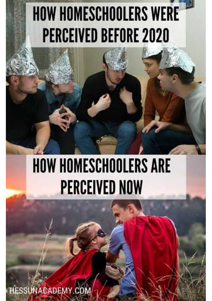 online learning memes homesschooling
