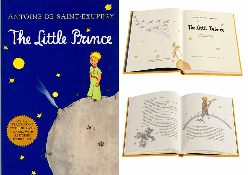 This book may look like its for kids but don't let its art fool you! The Little Prince is a book on philosophy.