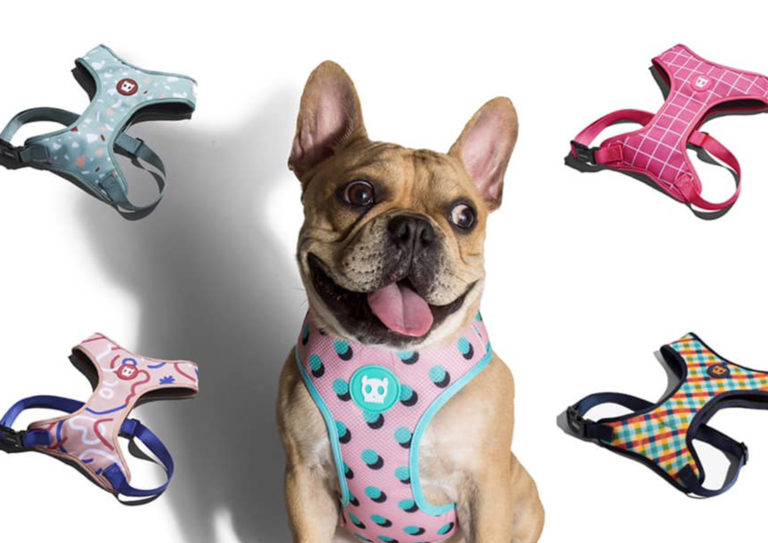 8 Best Places in Metro Manila to Buy Pet Supplies Modern Parenting
