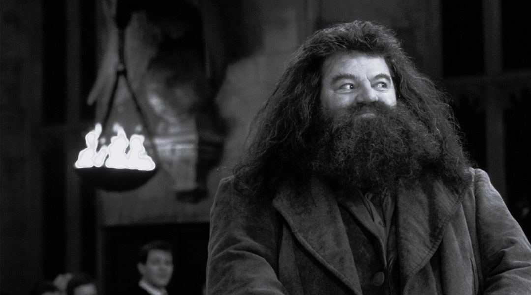 robbie coltrane hagrid