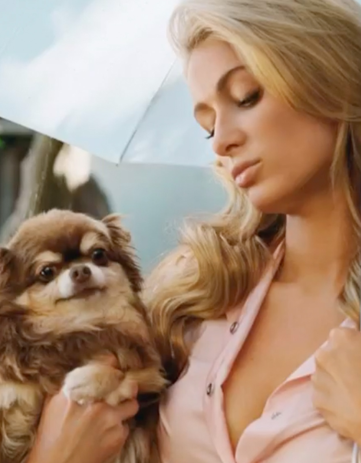 Paris Hilton with her late dog Harajuku