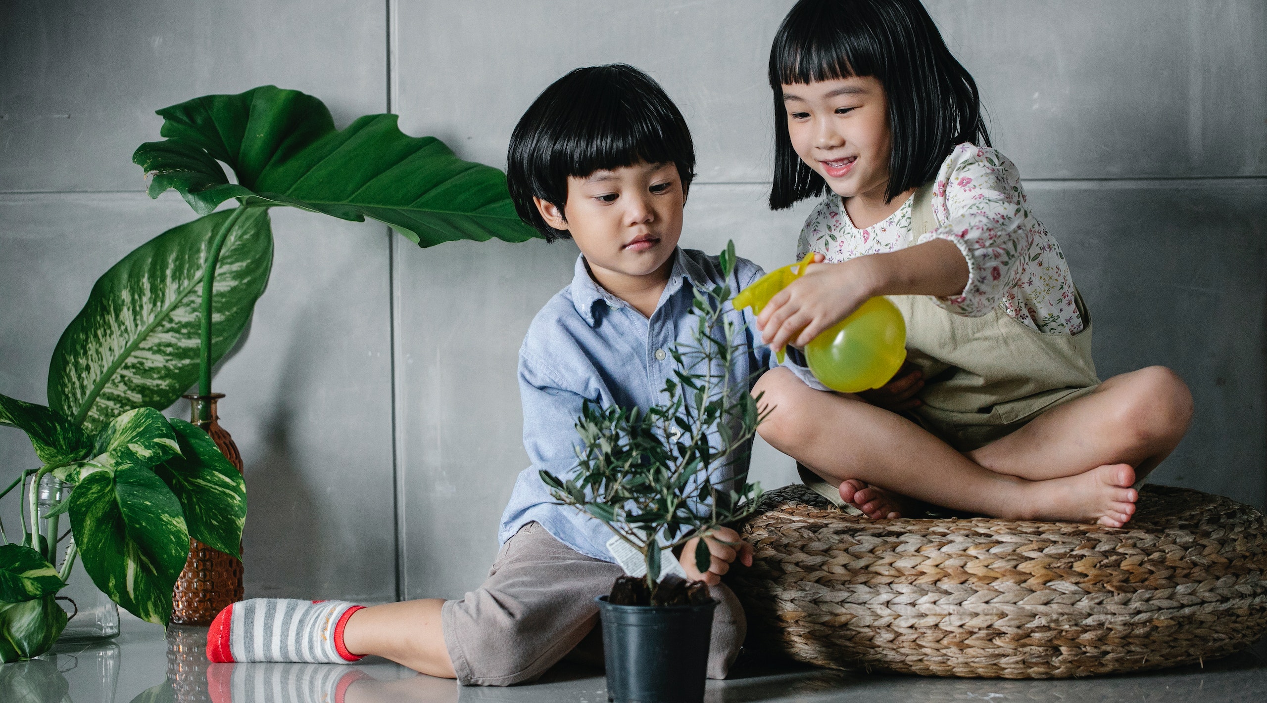 Sensitive children spraying a plant with water