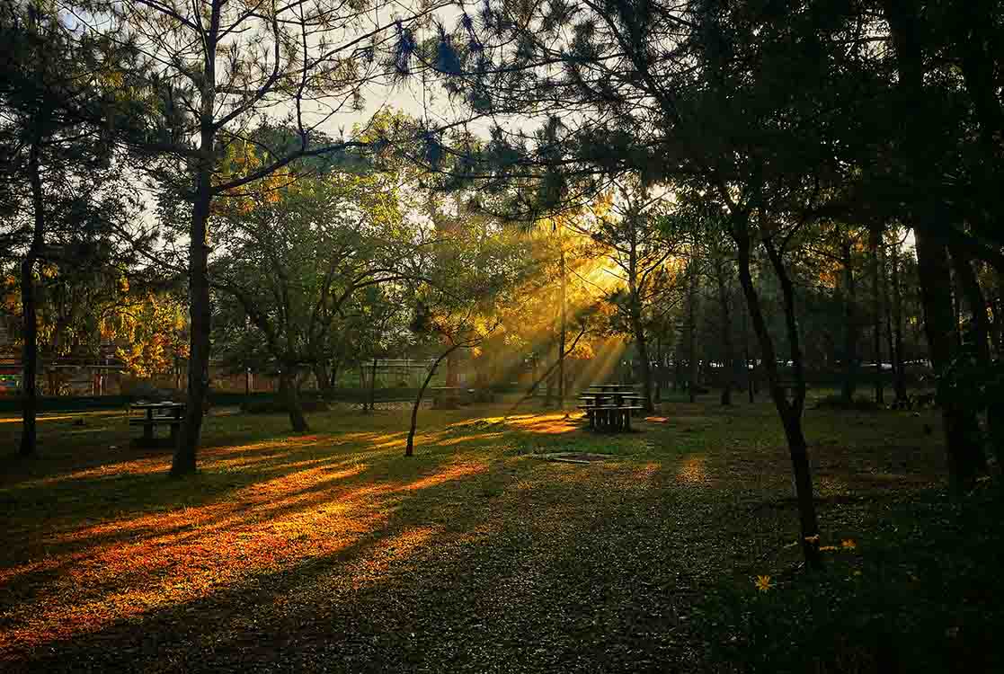 Baguio city of pines