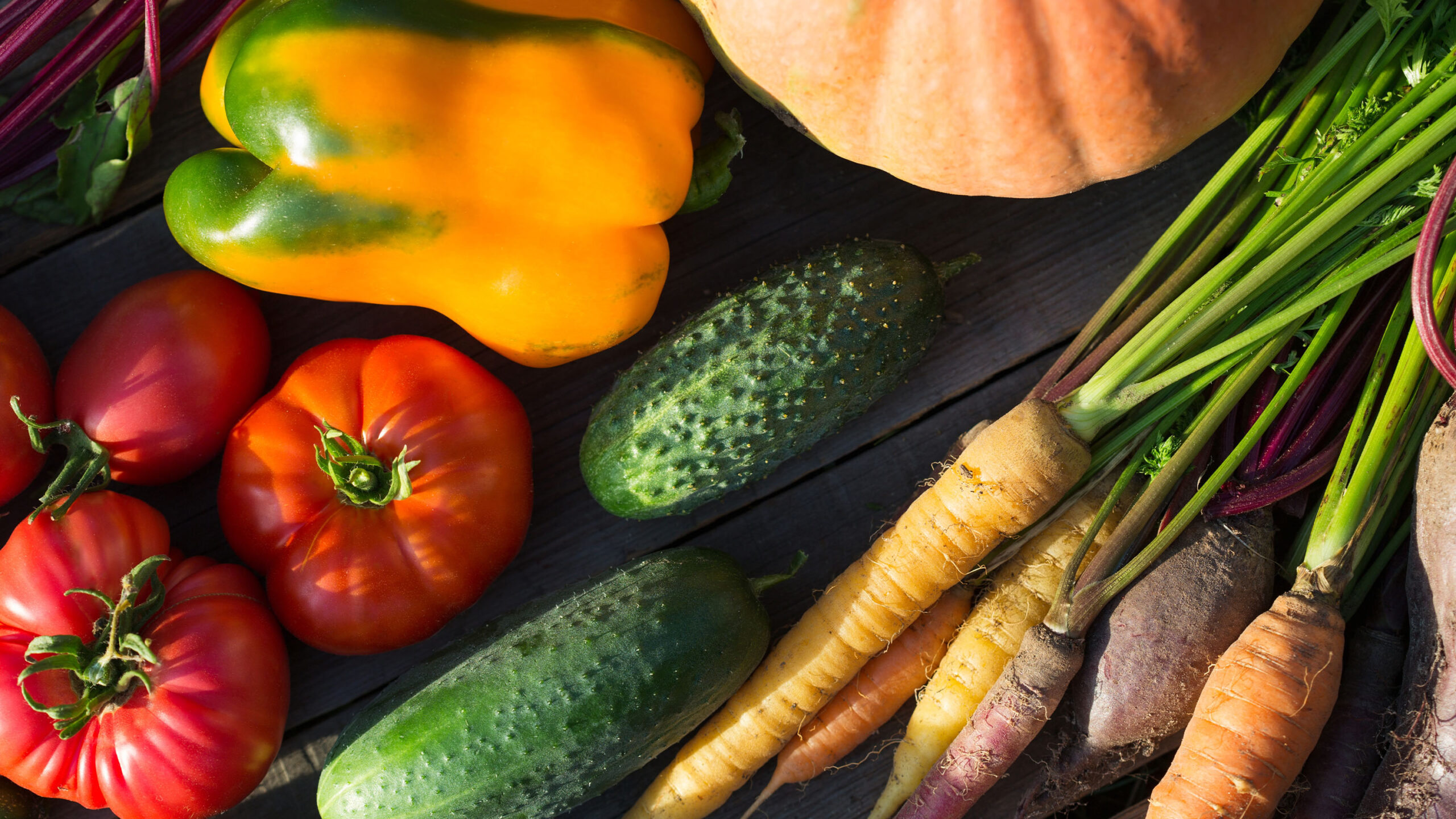 How Families Can Make Vegetables Last Longer at Home