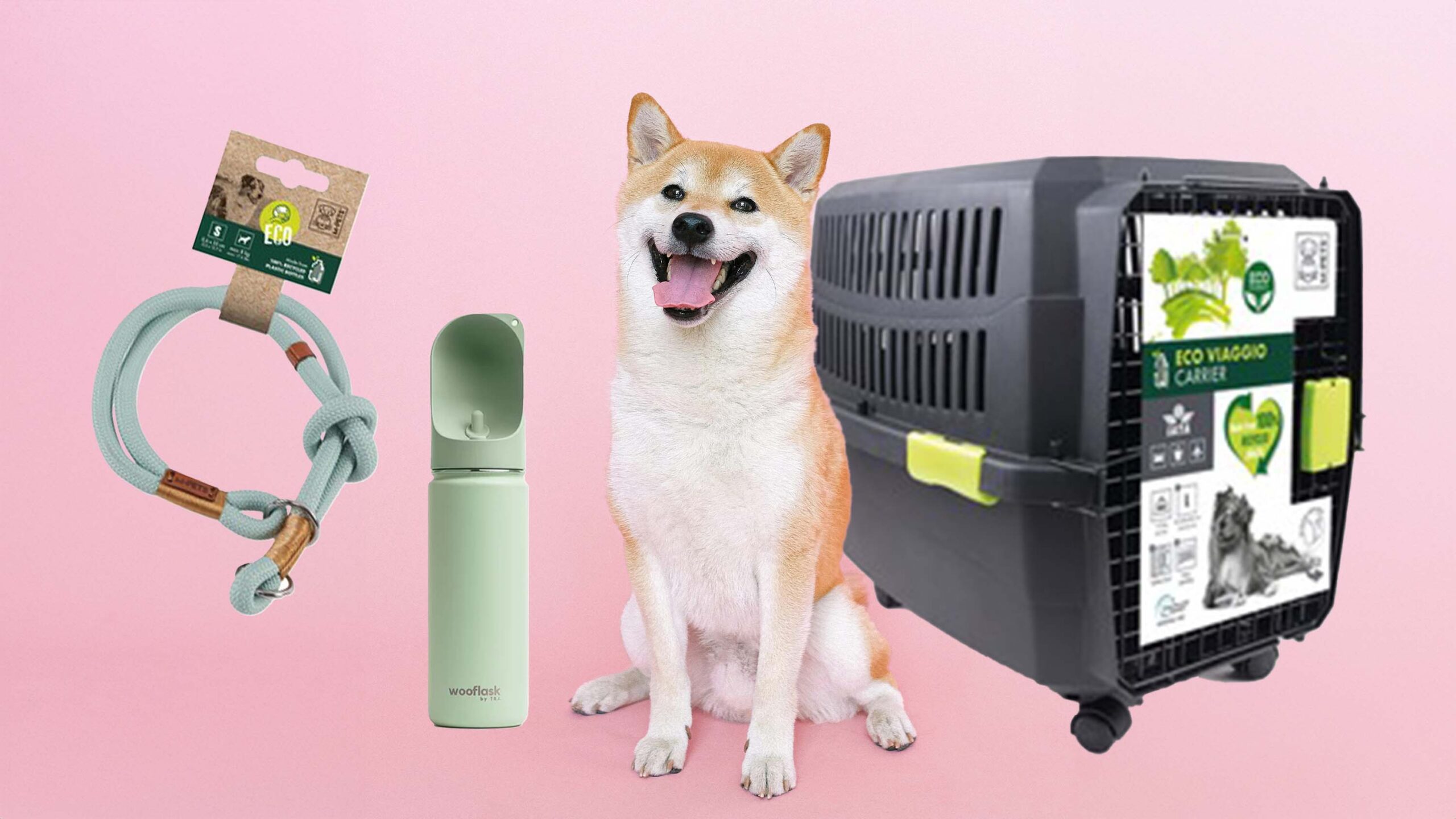 Be an Eco-Friendly Fur Parent with these Green Essentials!