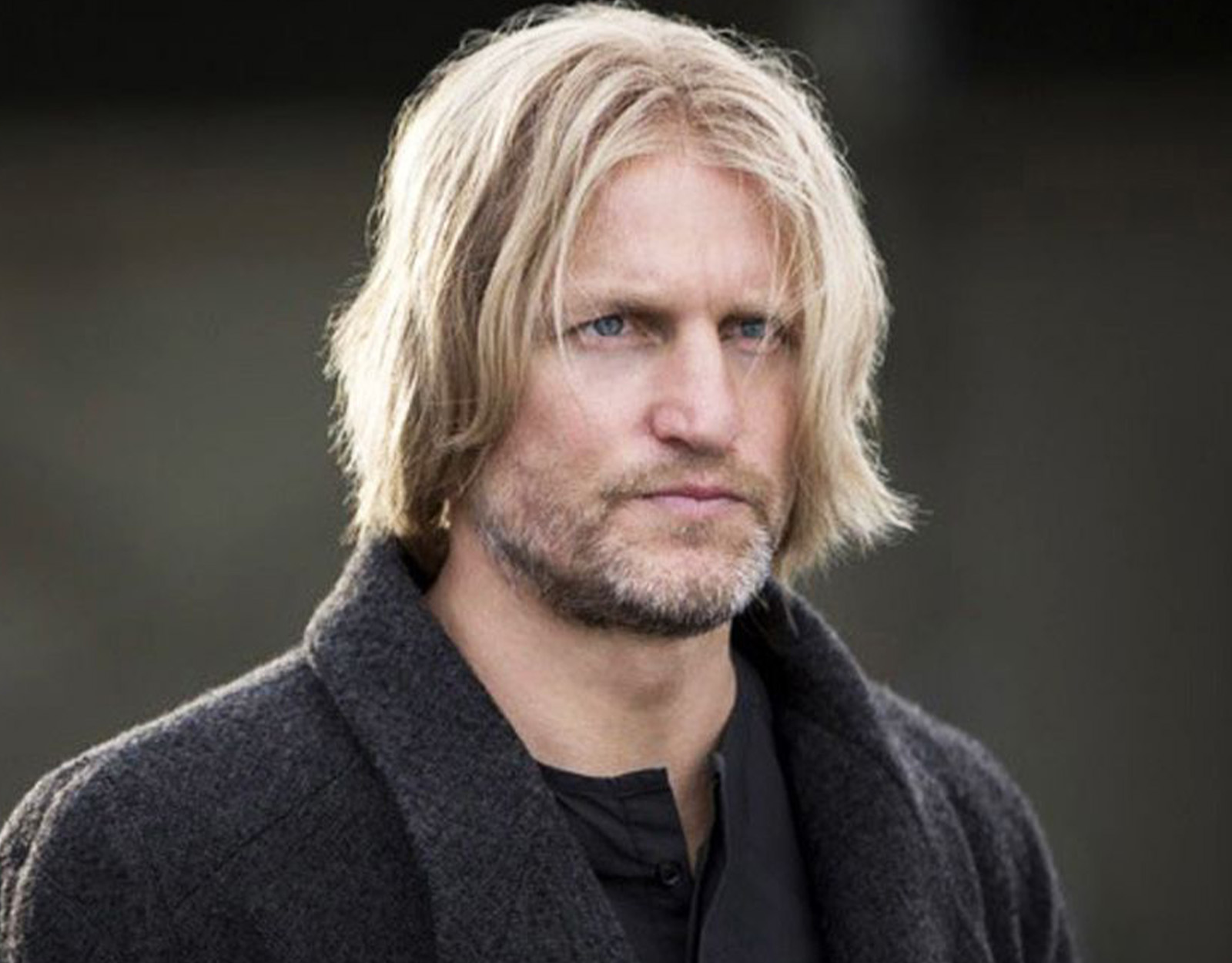 With Woody Harrelson playing older Haymitch Abernathy, who's playing the younger version in the new Hunger Games movie?