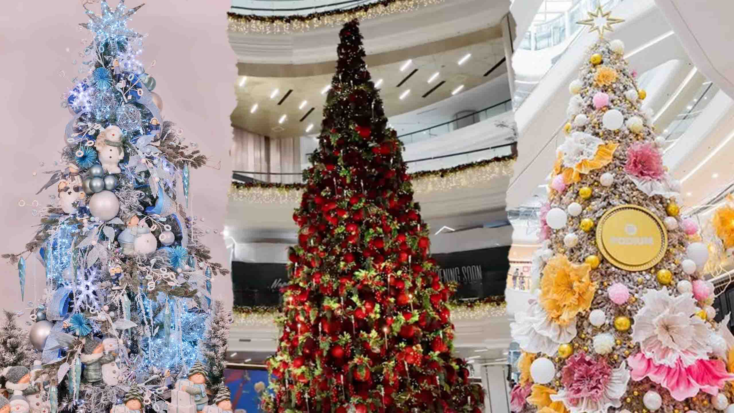 LIST: Christmas 2024 Displays for Families Will Love