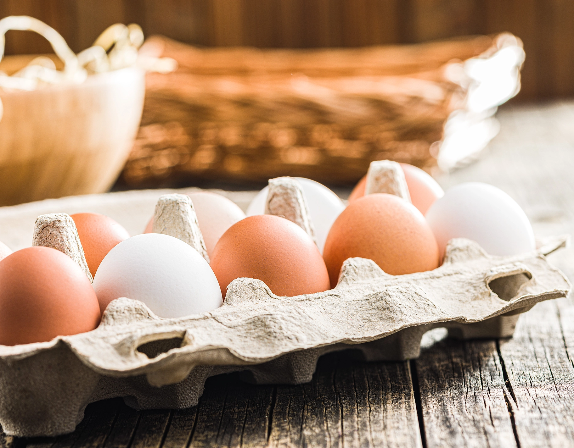 Here are some food that help improve and sustain brain function