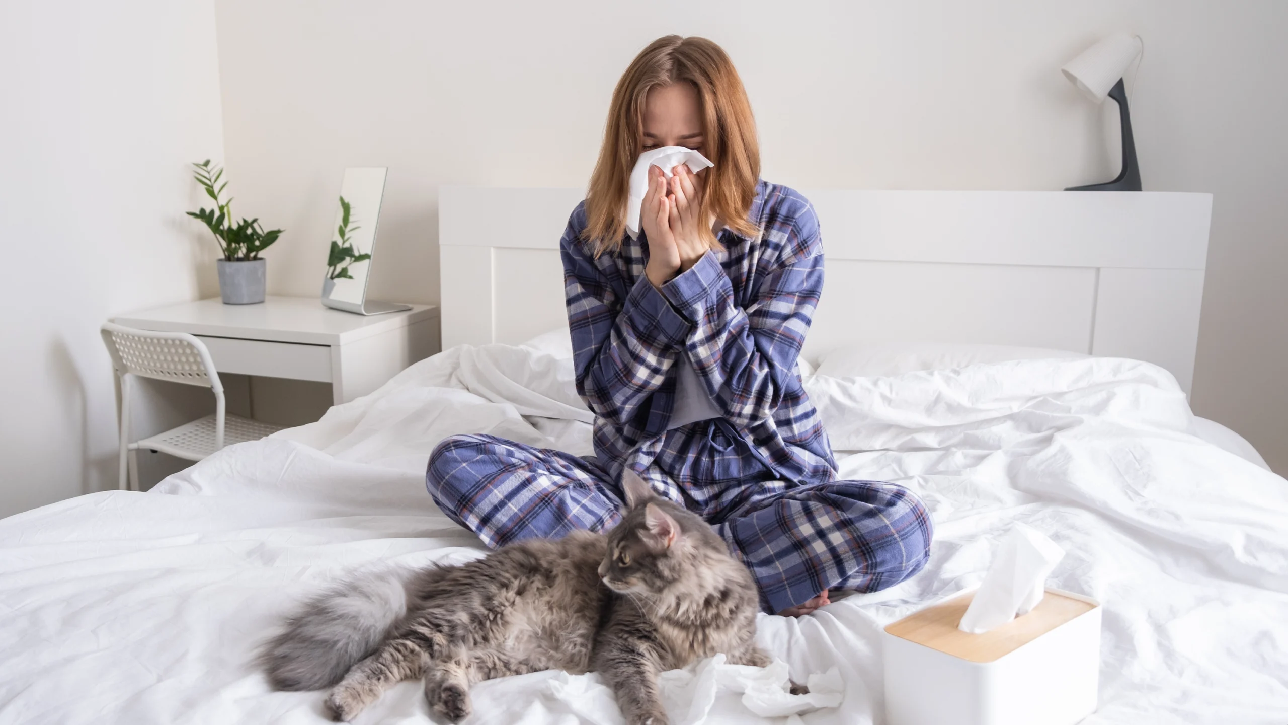 Cat Allergies 101: What Parents Need to Watch Out For