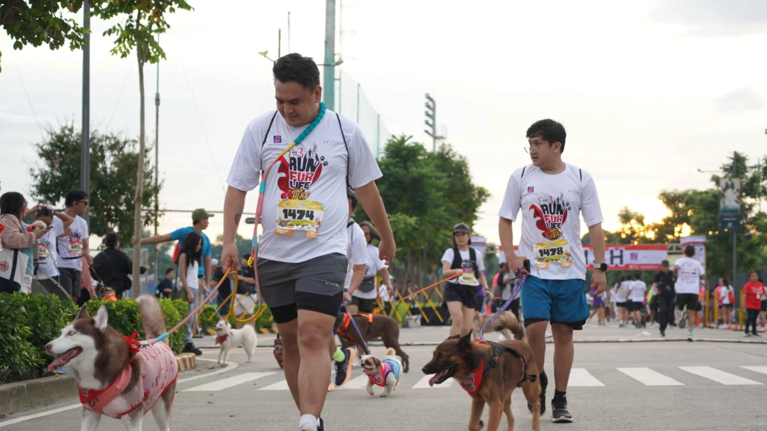 What Happens When A Pet Finds Their Happily Furever After?