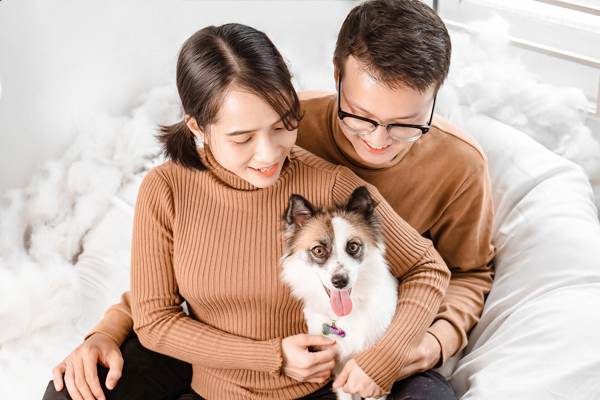 Here's why Spain's move to make pets legal family members matters and how it reflects modern families today